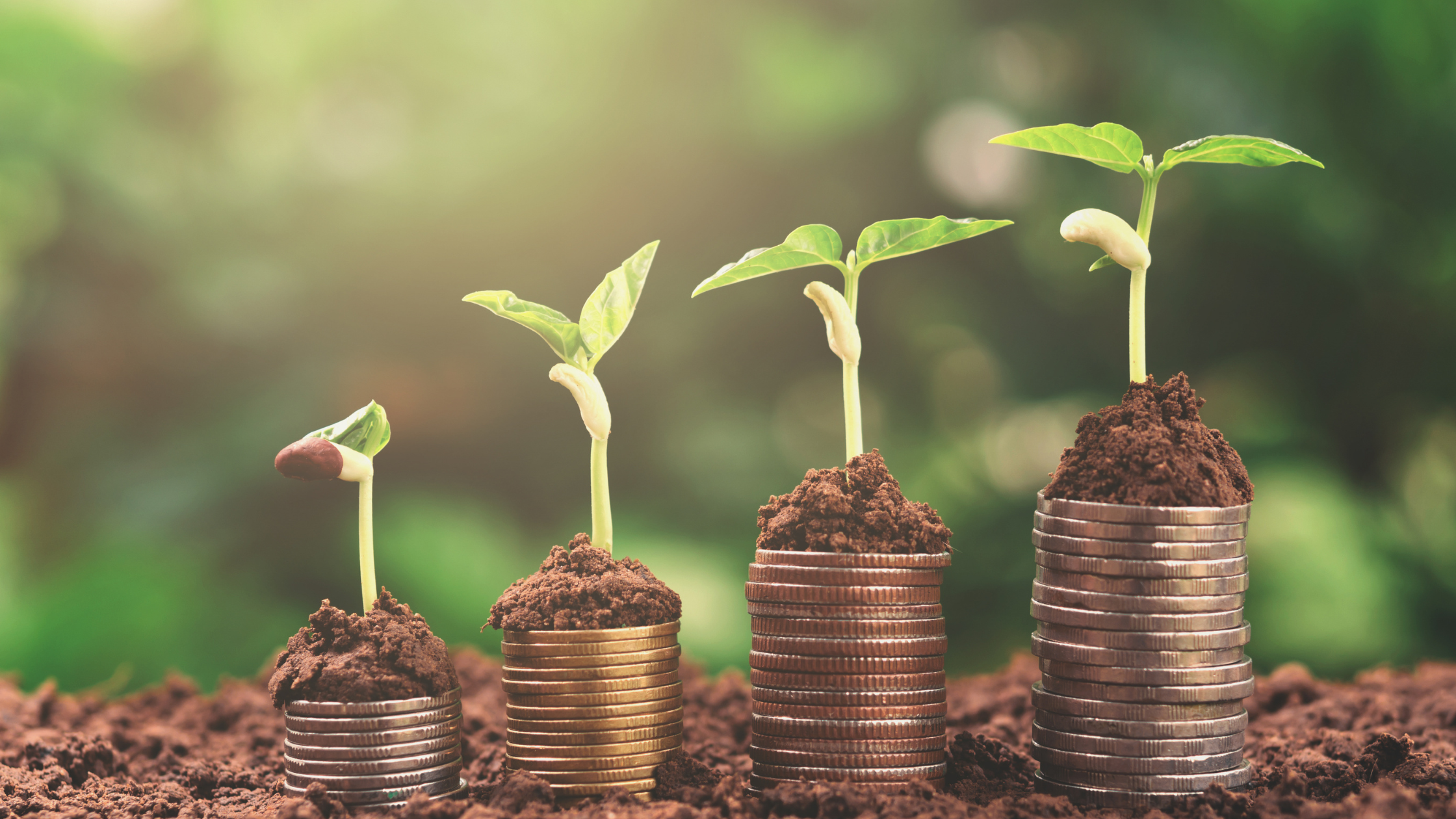 Green Finance in the GCC: Supporting Sustainability Projects and Investments