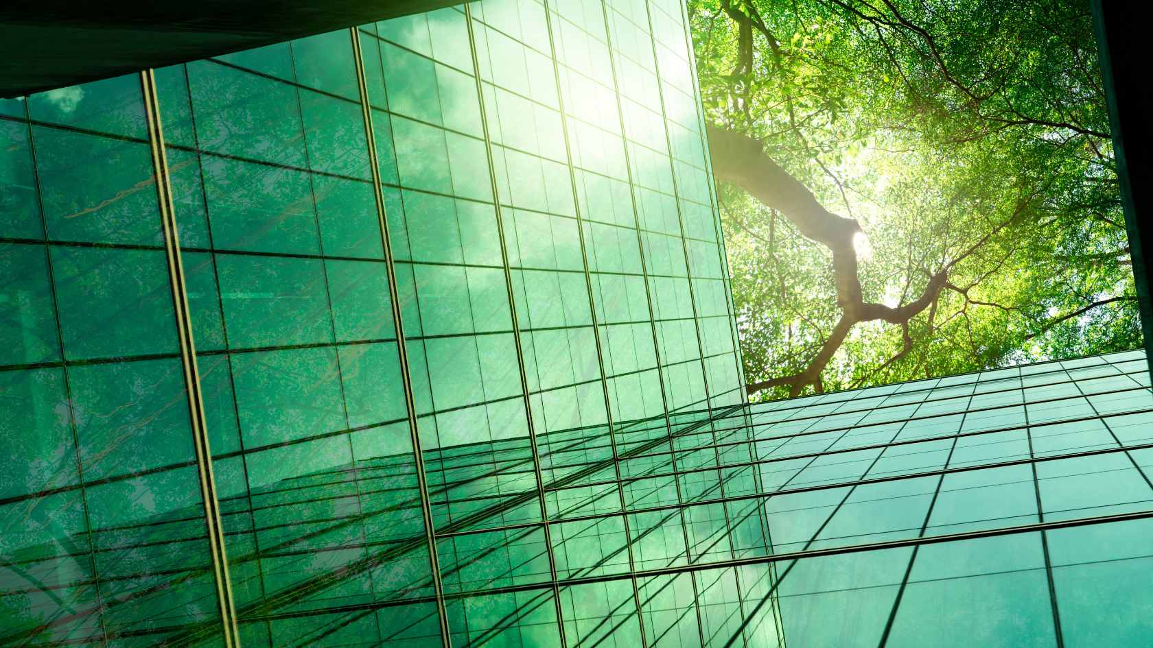 Sustainability Challenges in Africa: Bridging the Gap Between Growth and Environmental Protection