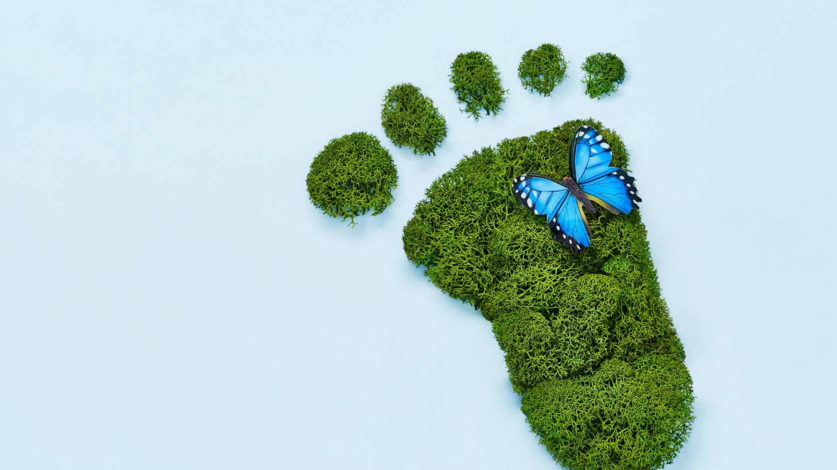 GCC Sustainability