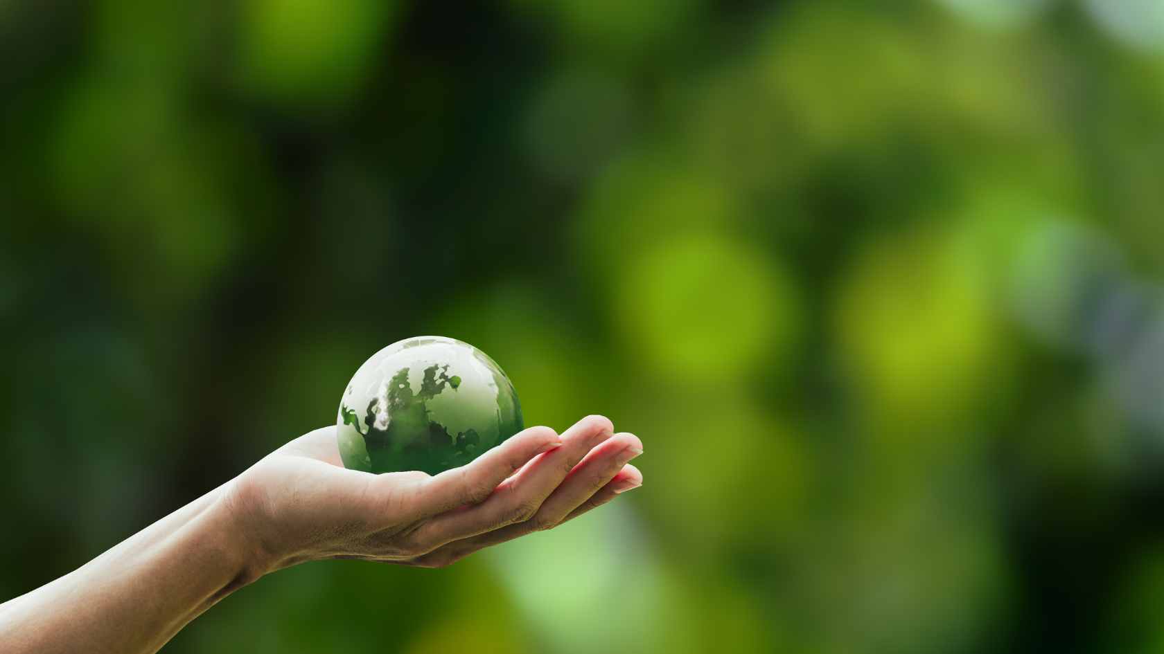 net-zero carbon emissions